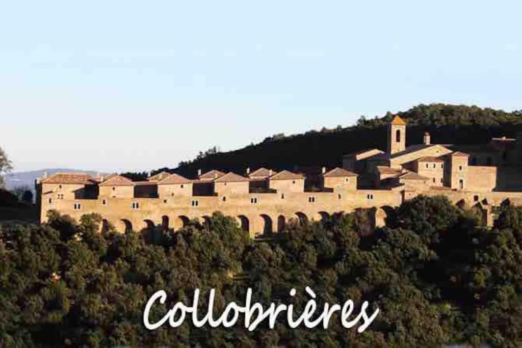 T3 Neuf Centre Village Collobrières Buitenkant foto